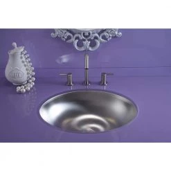 KOHLER Bachata Undermount Stainless Steel Bathroom Sink in Stainless Steel with Luster -Bathroom Sinks Sales stainless steel with luster finish kohler undermount bathroom sinks k 2608 su na 4f 1000