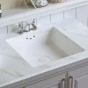 DEERVALLEY 15.75 in. Undercounter Bathroom Sink in White Vitreous China -Bathroom Sinks Sales white deervalley undermount bathroom sinks dv 1u307 64 1000