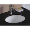 Wells Rhythm Series 17 in. Oval Undermount Single Bowl Bathroom Sink in White -Bathroom Sinks Sales white wells undermount bathroom sinks rtu1714 6w 64 1000